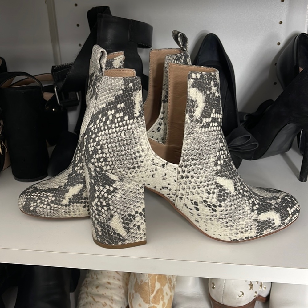 Snake Boot Steve Madden